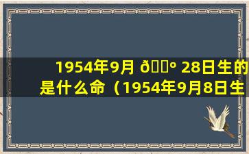 1954年9月 🌺 28日生的是什么命（1954年9月8日生人是 🦋 什么命运八字）